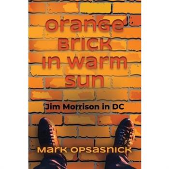 Orange Brick in Warm Sun