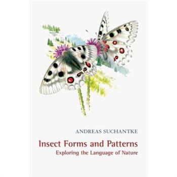 Insect Forms and Patterns Exploring the Language of Nature