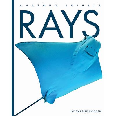 Rays
