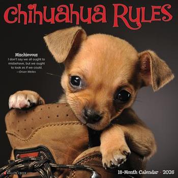 Chihuahua Rules 2026 12 X 12 Wall Calendar