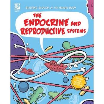 The Endocrine and Reproductive Systems