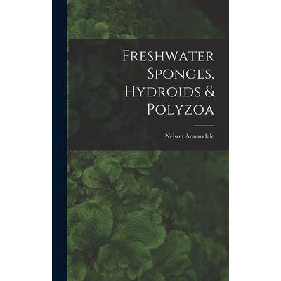 Freshwater Sponges, Hydroids & Polyzoa