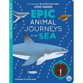 Epic Animal Journeys in the Sea
