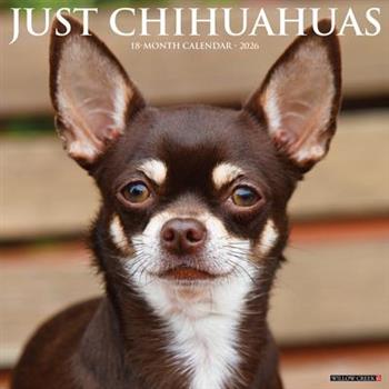 Chihuahuas 2026 12 X 12 Wall Calendar