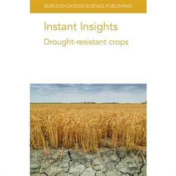 Instant Insights