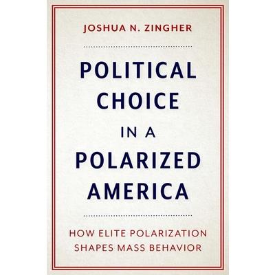 Political Choice in a Polarized America