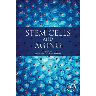 Stem Cells and Aging