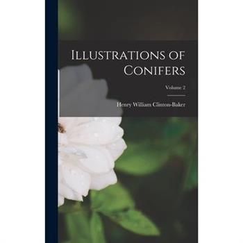Illustrations of Conifers; Volume 2