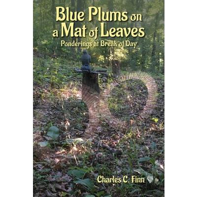 Blue Plums on a Mat of Leaves