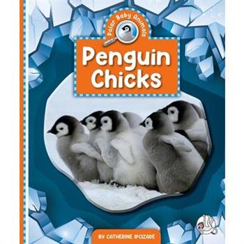 Penguin Chicks
