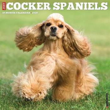 Cocker Spaniels 2026 12 X 12 Wall Calendar