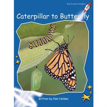 Caterpillar to Butterfly