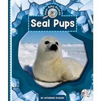 Seal Pups