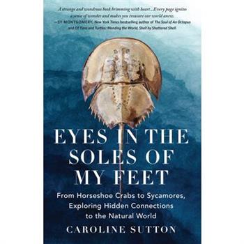 Eyes in the Soles of My Feet