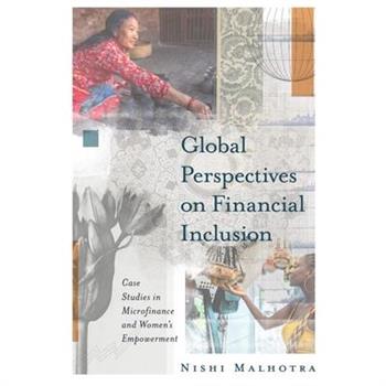 Global Perspectives on Financial Inclusion