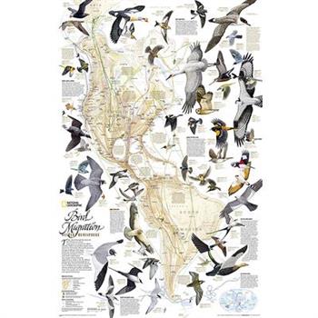 National Geographic Bird Migration, Western Hemisphere Wall Map - Laminated (20.25 X 31.25 In)