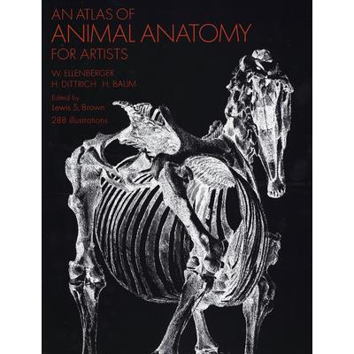 An Atlas of Animal Anatomy for Artists