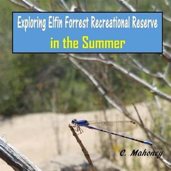 Exploring Elfin Forrest Recreational Reserve in the Summer