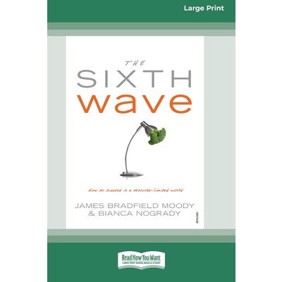 The Sixth Wave (16pt Large Print Edition)