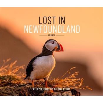 Lost in Newfoundland: Volume 2