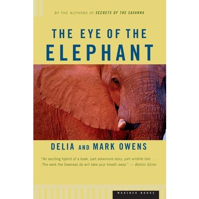 The Eye of the Elephant