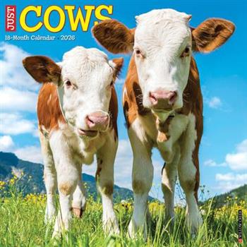 Cows 2026 12 X 12 Wall Calendar