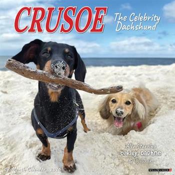 Crusoe the Celebrity Dachshund 2026 12 X 12 Wall Calendar