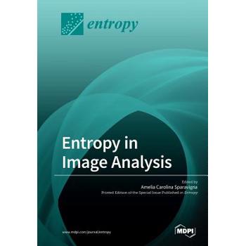 Entropy in Image Analysis