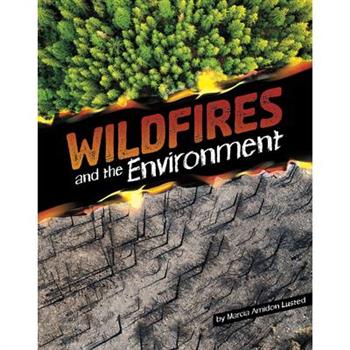 Wildfires and the Environment