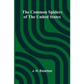 The Common Spiders Of The United States