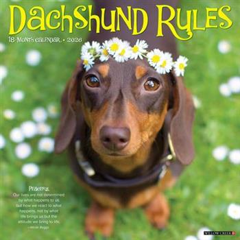 Dachshund Rules 2026 12 X 12 Wall Calendar