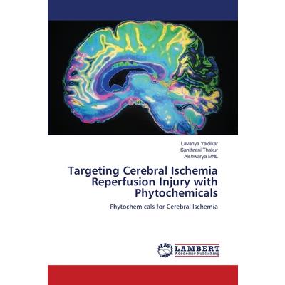 Targeting Cerebral Ischemia Reperfusion Injury with Phytochemicals