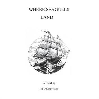 Where Seagulls Land