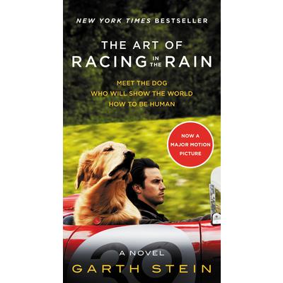 The Art of Racing in the Rain: A Novel(MTI)我在雨中等你