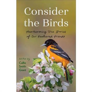 Consider the Birds