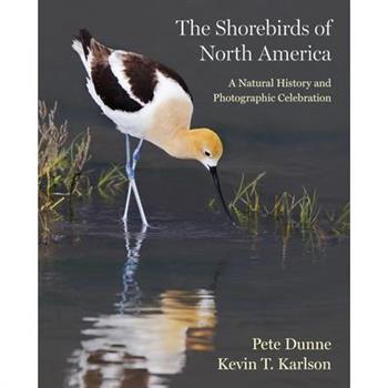 The Shorebirds of North America