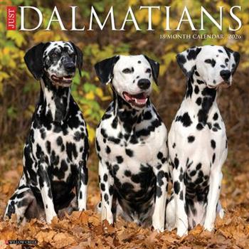Dalmatians 2026 12 X 12 Wall Calendar