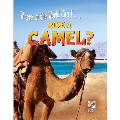Ride a Camel?