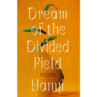 Dream of the Divided Field