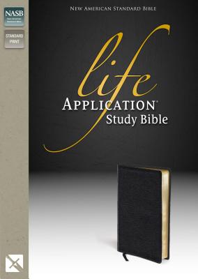 Life Application Study Bible