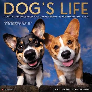 Dog's Life 2026 12 X 12 Wall Calendar