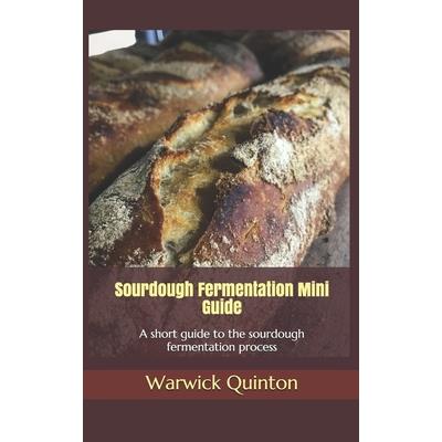 Sourdough Fermentation Mini Guide