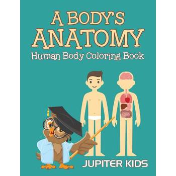 A Body’s Anatomy