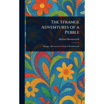 The Strange Adventures of a Pebble
