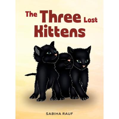 The Three Lost Kittens
