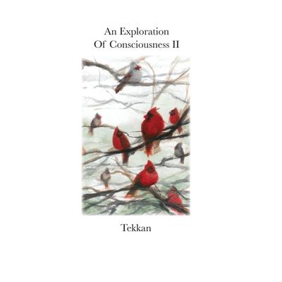 An Exploration of Consciousness IIAnExploration of Consciousness II