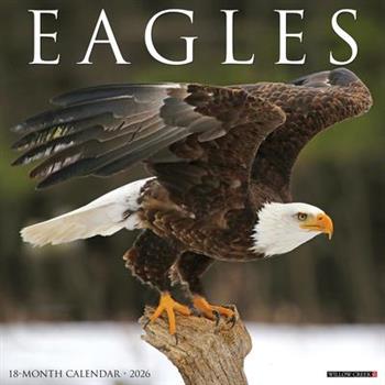 Eagles 2026 12 X 12 Wall Calendar