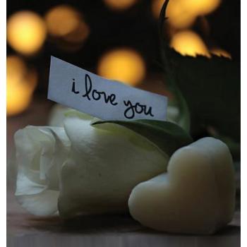 In Loving Memory Funeral Guest Book, Loss, Celebration of Life, Wake, Memorial Service, Funeral Home, Church, Condolence Book, Thoughts and In Memory Guest Book (Hardback)