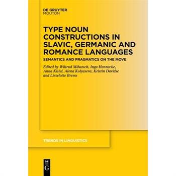 Type Noun Constructions in Slavic, Germanic and Romance Languages