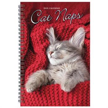 2025 Cat Naps Engagement